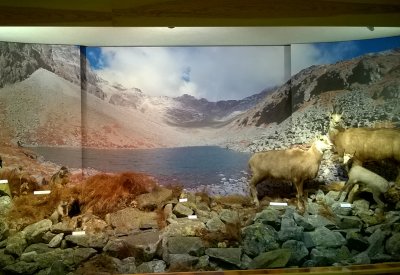 Svetelná technika v múzeu TANAP-u Vysoké Tatry